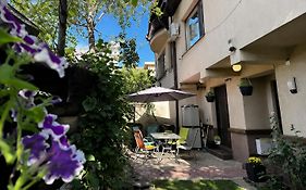 Vila luminoasa cu curte privată